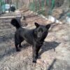 Brus - obrazek 2