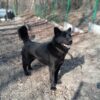Brus - obrazek 3