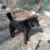 Brus - obrazek 4