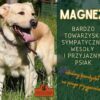 Magnez - obrazek 4
