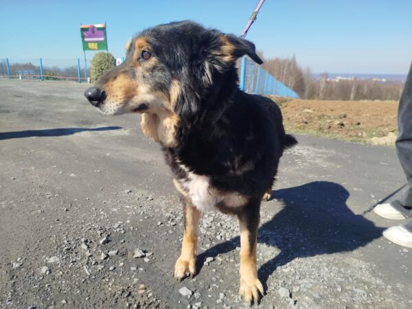 Artur - obrazek 5