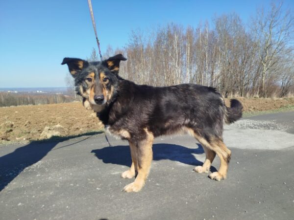 Artur - obrazek 9